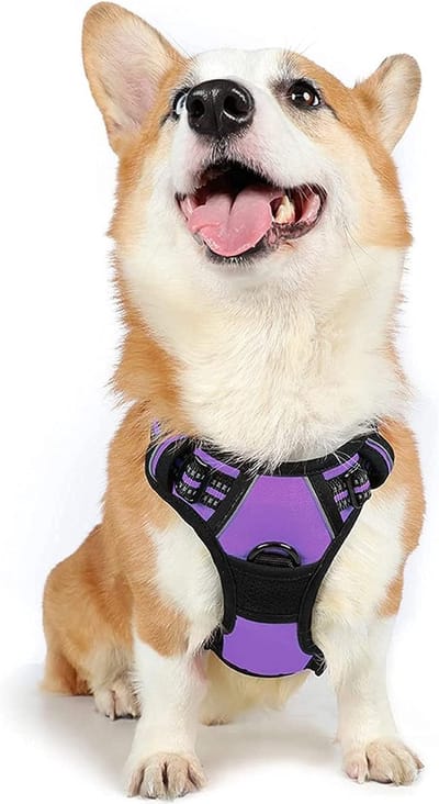 Hondenharnas, anti-trek reflecterend en ademend borstharnas, verstelbaar en zacht voor grote, middelgrote of kleine honden en puppy's