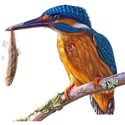 Strass borduurwerk 5D Diamond Stitch schilderij Craft schilderij diner voor vogels Diamond Art Wall 30x30CM blue
