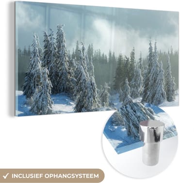 MuchoWow® Glasschilderij 40x20 cm - Schilderij acrylglas - Bos - Sneeuw - Winter - Foto op glas - Schilderijen