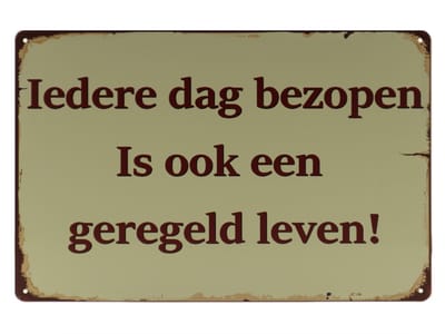 Wandbord – Mancave – Iedere dag bezopen - Grapje - Drinken - Bier – Vintage - Retro - Wanddecoratie – Reclame bord – Restaurant – Kroeg - Bar – Cafe - Horeca – Metal Sign - Pin Up Girl - 20x30cm