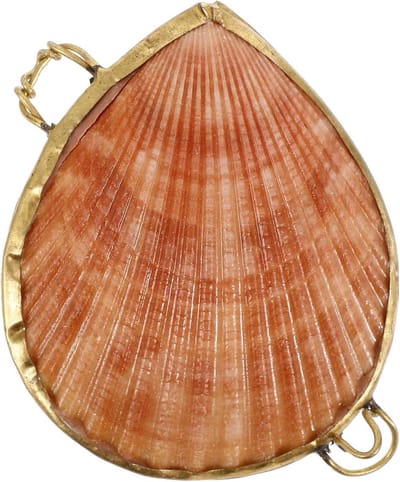 Schelp Sieradendoosje - Opbergdoosje Ring - Juwelen Presenteren - Natuurlijke Schelp - 6 x 5 x 2 cm - Multicolor