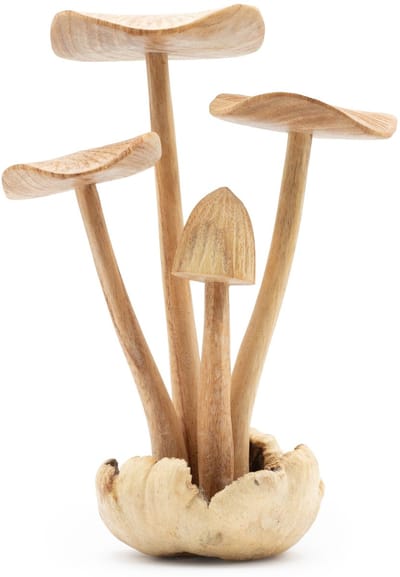 Handmade Parasite Wood Art Carving - Set of 4 Large Mushrooms
