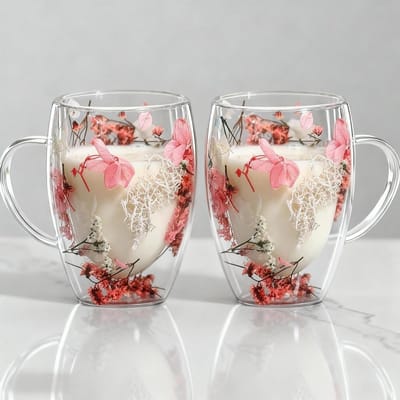 Set van 2 Dried Flower Glazen Mokken 350ml met Dubbele Wand, Geïsoleerde Koffiemokken voor Koffie, Thee en Melk