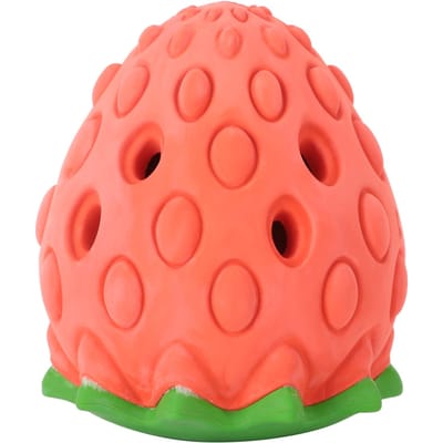 Jouets à mâcher pour chien, balle de nettoyage des dents, style fraise, jouets à mâcher et à nourrir red