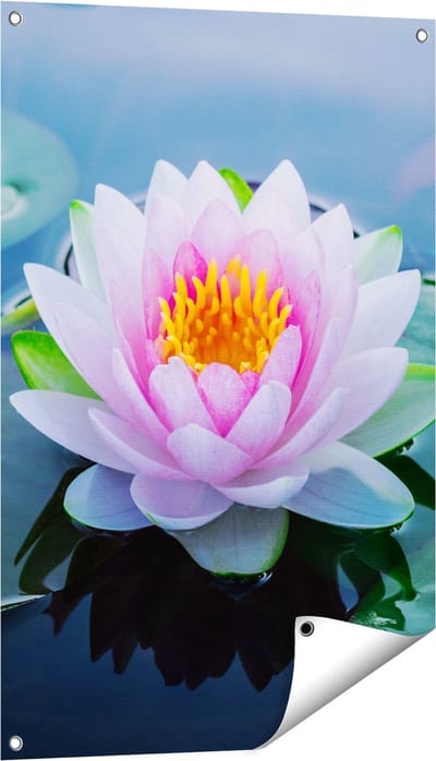 Gards Tuinposter Roze Lotusbloem met Waterlelies - 60x90 cm - Tuindoek - Tuindecoratie - Wanddecoratie buiten - Tuinschilderij