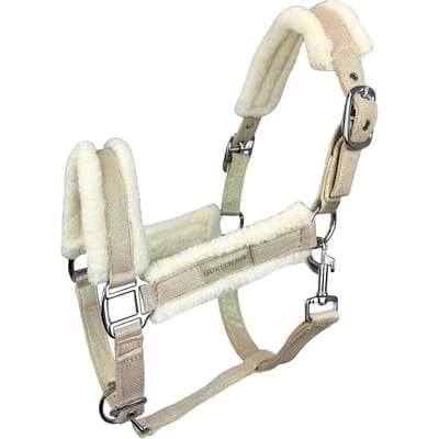 Bont halster voor paard Horsenjoy Glossy