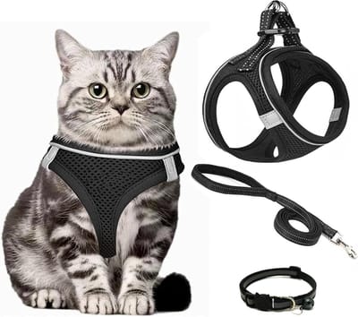 Verstelbaar Katentuig voor Veilig Wandelen met Leash, Ademend en Reflecterend, Ideaal voor Training en Buitenactiviteiten (XS)