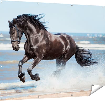 Gards Tuinposter Zwart Paard in het Water - 150x120 cm - Tuindoek - Tuindecoratie - Wanddecoratie buiten - Tuinschilderij
