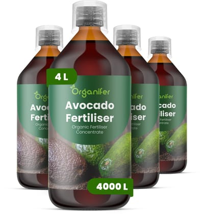 Vloeibare Meststof Voor Avocado 4X1 L Voor 4000 L - Npk 2-1-8 - Avocadobomen - Krachtige Groei - Sterke Takken - Bladgezondheid - Kleurintensiteit - Kroonontwikkeling - Sterk Wortelstelsel - Nutriëntenopname - Herstel Na Snoei - Organifer