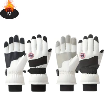 Bovista Skihandschoenen - Handschoenen Winter - Handschoenen Dames - Touchscreen - Antislip - Waterdicht - Zwart - M