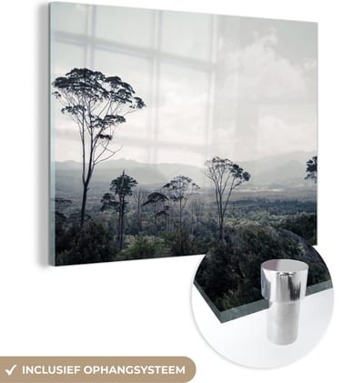 MuchoWow® Glasschilderij 120x90 cm - Schilderij acrylglas - Bomen - Lucht - Natuur - Foto op glas - Schilderijen