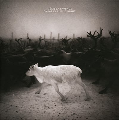 Melissa Laveaux - Dying Is A Wild Night (CD)