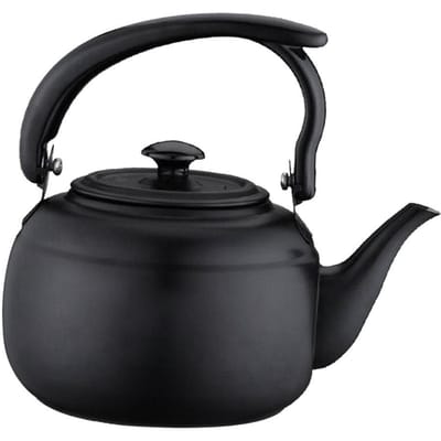 Roestvrijstalen Theepot Waterketel Koffieketel Thuis Hotel Keukengerei 1000ml Leuk Cadeau voor Theeliefhebber Roestvrijstalen Theepot black