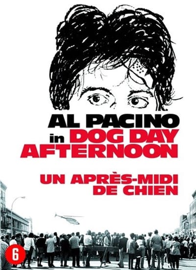 Dog Day Afternoon (DVD)