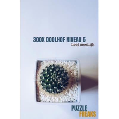300x Doolhof Niveau 5 - Puzzle Freaks