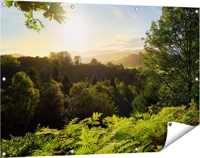 Gards Tuinposter Zonsondergang vanuit een Bos - 120x80 cm - Tuindoek - Tuindecoratie - Wanddecoratie buiten - Tuinschilderij