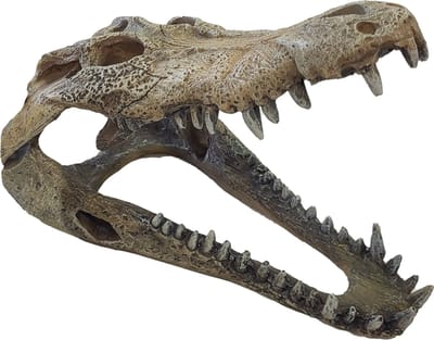 Repto - Deco crocodile xxl