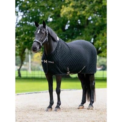 Droogdeken voor paarden LeMieux Arika Clima-Tek