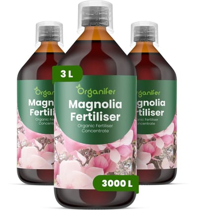 Vloeibare Meststof Voor Magnolia 3X1 L Voor 3000 L - Npk 3-4-3 - Geschikt Voor Alle Magnoliavariëteiten - Stimuleert Vroege Knopvorming En Rijke Bloei - Versterkt Ondiepe Magnoliawortelstelsels Voor Stabiliteit Op Lange Termijn - Organifer