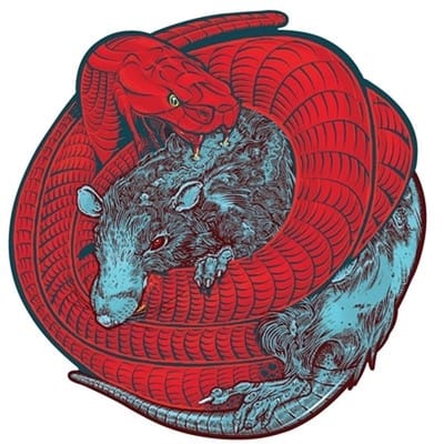 Red Union - Rats And Snakes (10" LP) (Picture Disc)