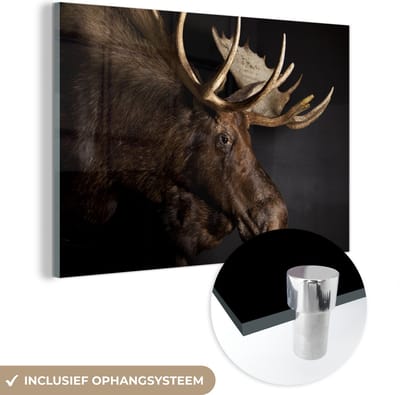MuchoWow® Glasschilderij 120x80 cm - Schilderij acrylglas - Eland - Gewei - Portret - Foto op glas - Schilderijen