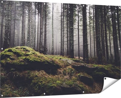 Gards Tuinposter Bos met Mos op Rotsen - 150x100 cm - Tuindoek - Tuindecoratie - Wanddecoratie buiten - Tuinschilderij