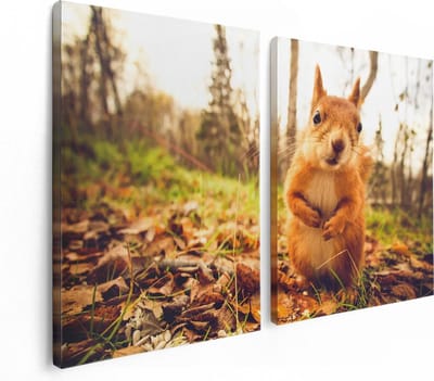 Artaza Canvas Schilderij Tweeluik Eekhoorn in het Bos tijdens de Herfst - 120x80 - Foto Op Canvas - Canvas Print