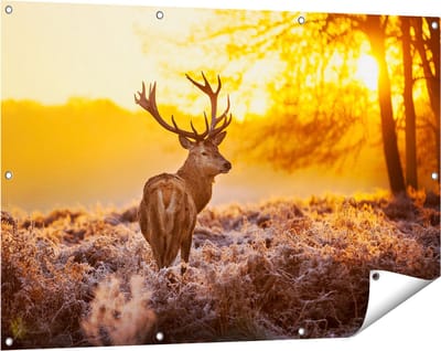 Gards Tuinposter Hert in Bos tijdens de Zonsopkomst - 120x80 cm - Tuindoek - Tuindecoratie - Wanddecoratie buiten - Tuinschilderij