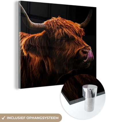 MuchoWow® Glasschilderij 50x50 cm - Schilderij acrylglas - Schotse Hooglander - Tong - Neus - Foto op glas - Schilderijen