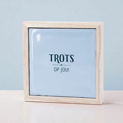 Liefs in een lijstje - Trots op jou - tegeltje met spreuk - tegeltje met tekst - motivatie cadeau - steuntje in de rug