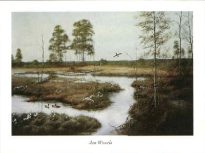 poster Verkerke Jan Wessels - Returning Mallards 80 x 60 cm