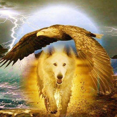 5D DIY Diamond schilderij volledige ronde Wolf en adelaar diamant borduurwerk kruissteek 30x30CM yellow