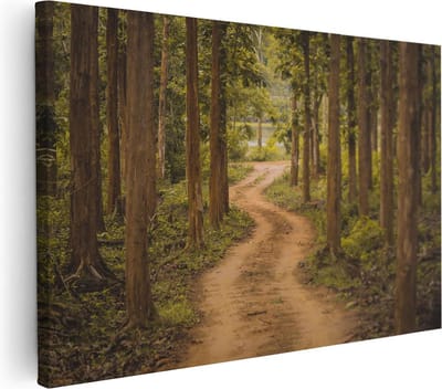 Artaza Canvas Schilderij Bospad - 30x20 cm - Klein - Wanddecoratie Natuur - Muurdecoratie Bomen - Kamer Accessoires Woonkamer