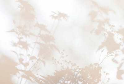 Fotobehang shadowroom1 DD122016 Livingwalls Walls by Patel 3 Beige Creme Wit Vlies 270 x 400 cm (4 delen) Fotobehang