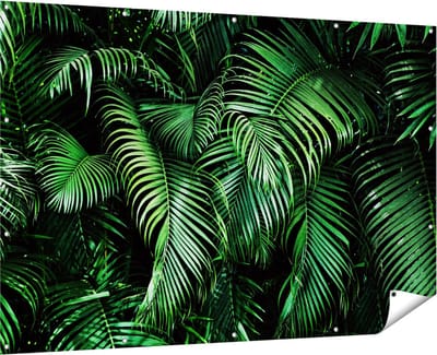 Gards Tuinposter Tropische Palm Bladeren - Groen - 180x120 cm - Tuindoek - Tuindecoratie - Wanddecoratie buiten - Tuinschilderij