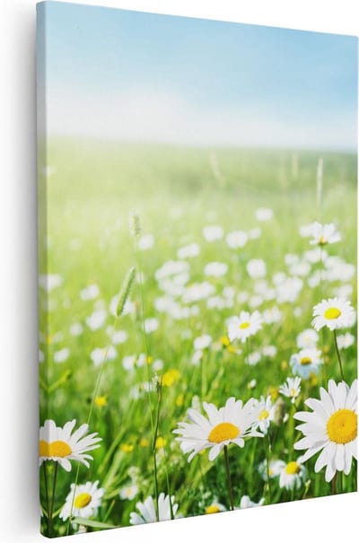 Artaza Canvas Schilderij Bloemenweide - 40x50 cm - Muurdecoratie Madeliefjes - Wanddecoratie Lente - Kamer Accessoires