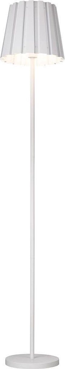 Linea Verdace 44370/W