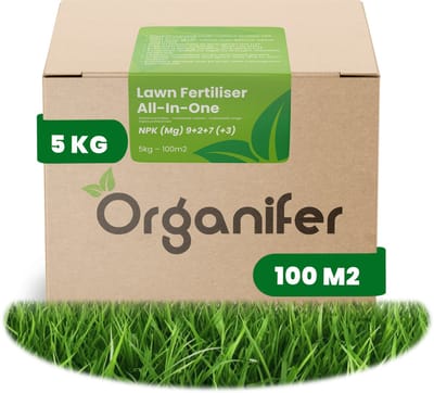 Gazonmest All-In-One (5kg, 100m2) - Voor een Diepgroen Sterk Gazon Zonder Mos en Onkruid - Gazonmeststof - Gazon Kalk - Meststof Gazon - Gras Mest - Bodemverbeteraar - Organifer
