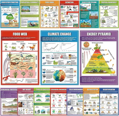 Ecosystemen Posters - Natuurkunde Grafieken - Klaslokaal Decoratie - 16 Stuks Set - 11x16 Inch - Kleurrijk