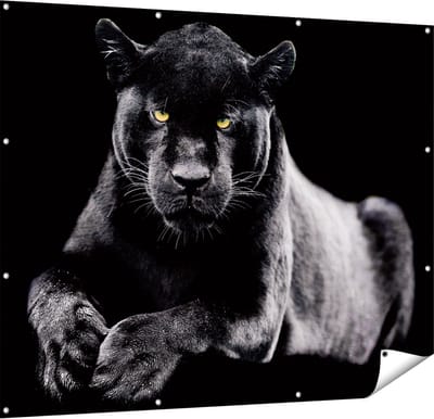 Gards Tuinposter Zwarte Panter - 150x120 cm - Tuindoek - Tuindecoratie - Wanddecoratie buiten - Tuinschilderij