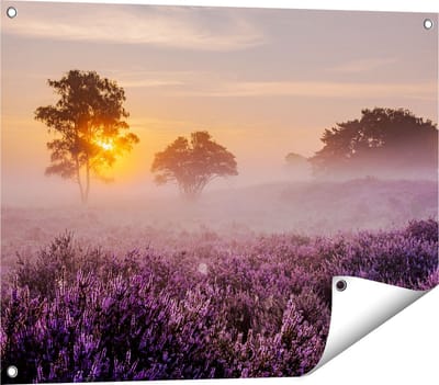Gards Tuinposter Weide in de Veluwe bij Zonsondergang - 80x60 cm - Tuindoek - Tuindecoratie - Wanddecoratie buiten - Tuinschilderij