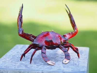 Krab rood MASSIEF BRONS 15 cm hoog - bronzen beeld - tuinbeeld - hoogkwalitatief brons - decoratiefiguur - interieur - accessoire - voor binnen - voor buiten - cadeau - geschenk - kerst - nieuwjaar - verjaardag