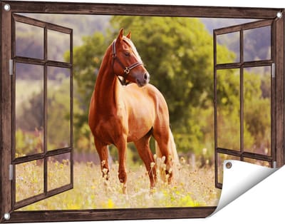 Gards Tuinposter Doorkijk Bruin Paard in de Wei - 90x60 cm - Tuindoek - Tuindecoratie - Wanddecoratie buiten - Tuinschilderij