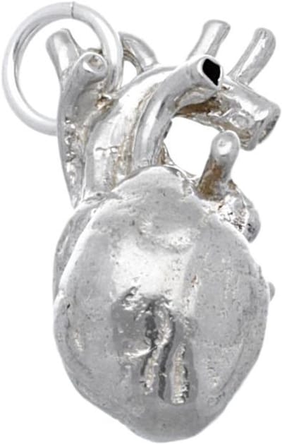 Zilveren Hart anatomie groot kettinghanger