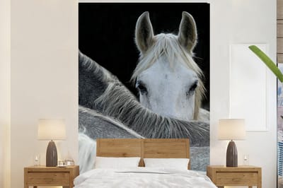 Behang - Fotobehang Paarden - Dieren - Zwart - Wit - Breedte 200 cm x hoogte 300 cm