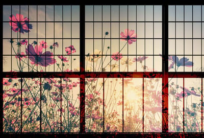 Fotobehang meadow 1 DD113747 Livingwalls Walls by Patel | Goedkoop fotobehang