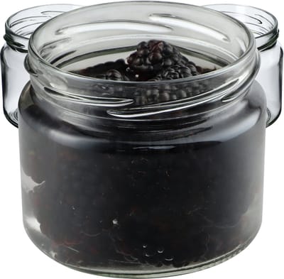 KADAX Inmaakpotten met schroefdeksel, jampotten, 330 ml, voorraadpotten voor jam, honing, potten met schroefdop (zonder deksel/10 stuks)