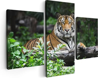 Artaza Canvas Schilderij Drieluik Tijger In Het Bos - 90x60 - Foto Op Canvas - Canvas Print