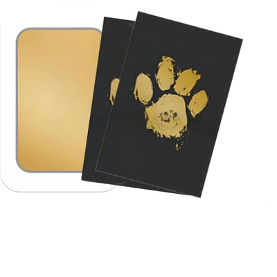 Inktloze Potenafdruk Kit voor Huisdieren, Kat en Hond Potenafdruk Kit, Kat en Hond Neusafdruk Kit, Schoonmaakvrije Herinnering voor Huisdieren, Voetafdruk Herdenkingscadeau voor Hond en Kat goud