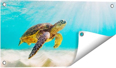 Gards Tuinposter Schildpad Zwemt in de Helder Blauwe Zee - 60x30 cm - Tuindoek - Tuindecoratie - Wanddecoratie buiten - Tuinschilderij
